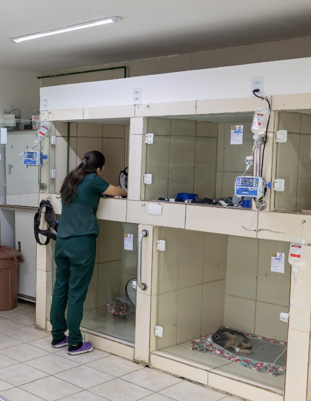 Imagens Hospital Ello (7)